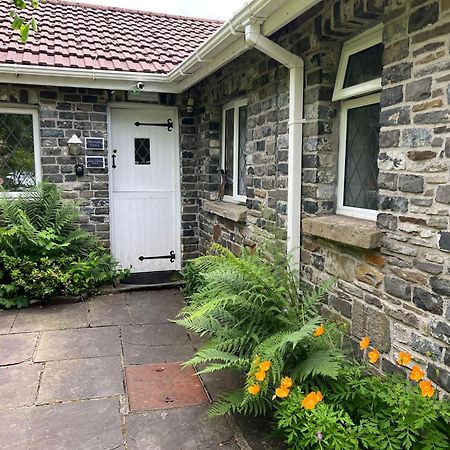 נית' Cwmbach Guest House מראה חיצוני תמונה