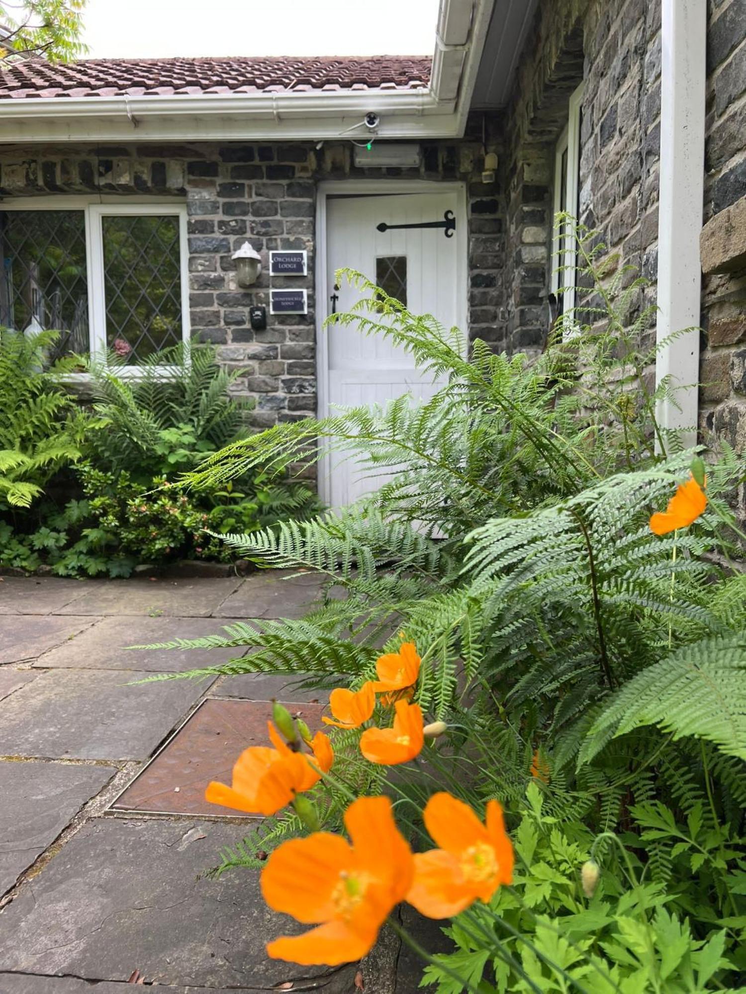 נית' Cwmbach Guest House מראה חיצוני תמונה